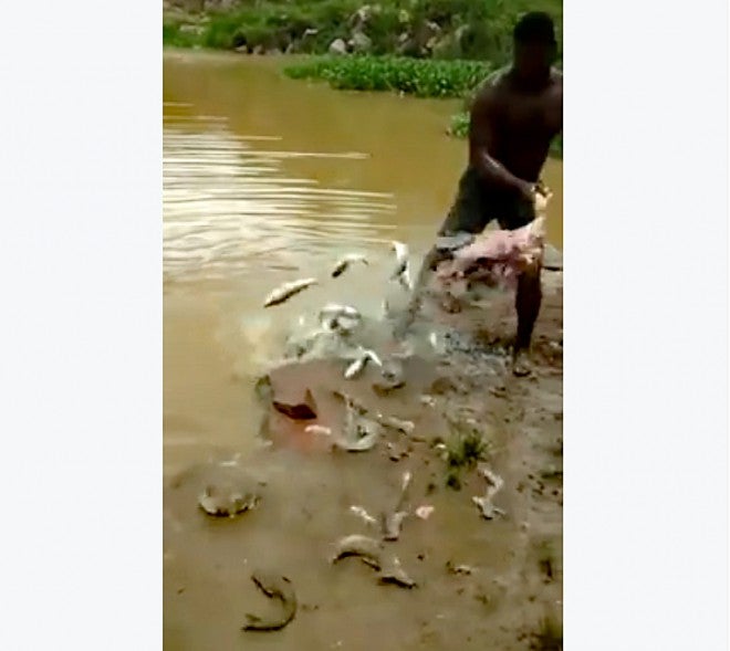 Fishing for Catfish Without a Rod or Net (Video)