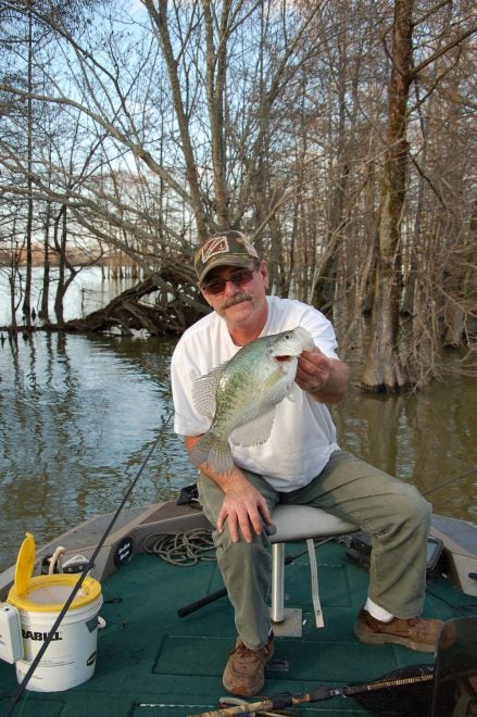 Wildcat Crappie Fishing