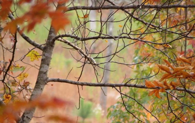 Outdoor Activity is Good for Your Brain and Body