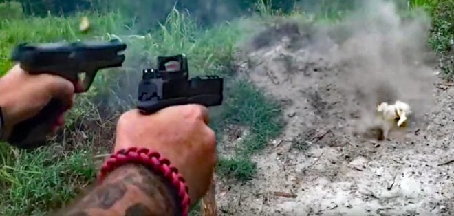 Watch: Pokemon Hunting With Real Guns