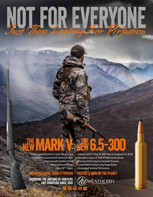 Weatherby’s “New” 6.5×300 Rifle