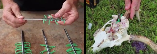 New “Scrambler” Device for Removing Deer Brains (Video)