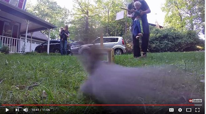 Watch: DIY Live Squirrel Trap
