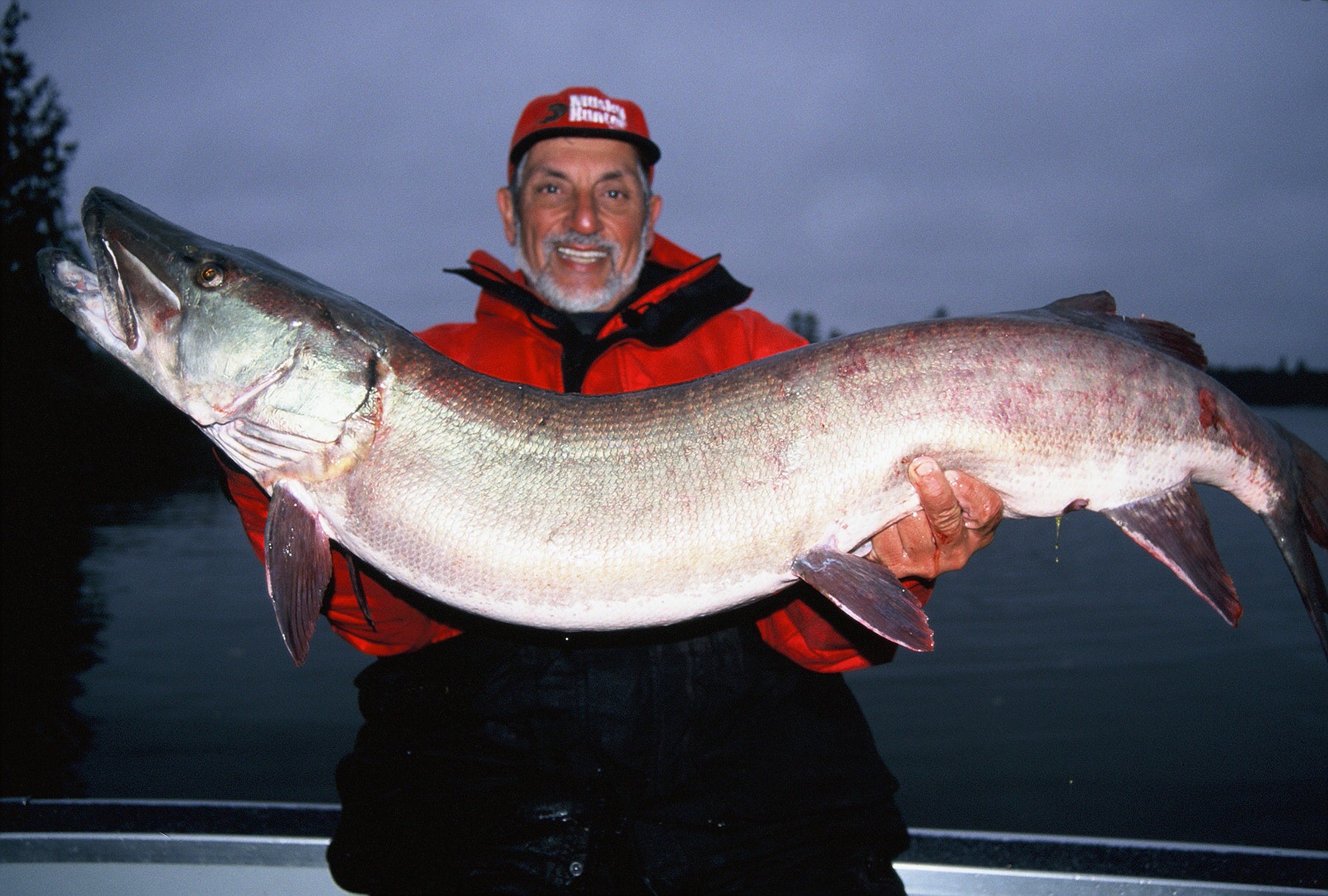 Fall Musky Hot Spot is Lake of the Woods Fall Musky Hot Spot is Lake of the Woods