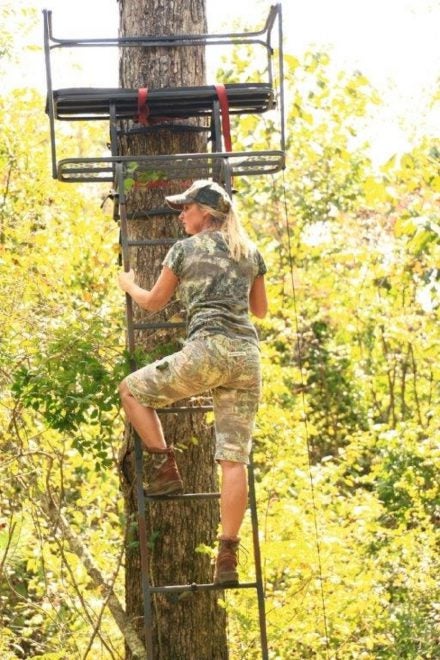 Tree Stand Placement a Mystery