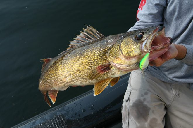 Try These Tips for Biggest Fall Walleyes, Part 1