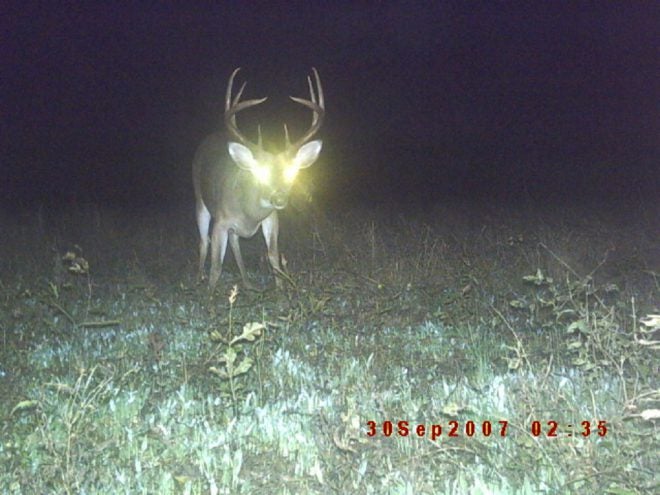 Time to Think Trail Cameras