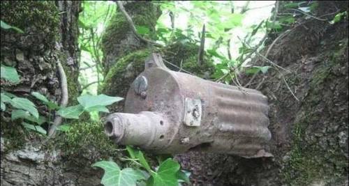 Photos: Trees Swallowing Weapons of War