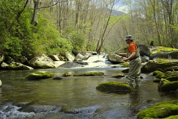 Trout Trip to Forget