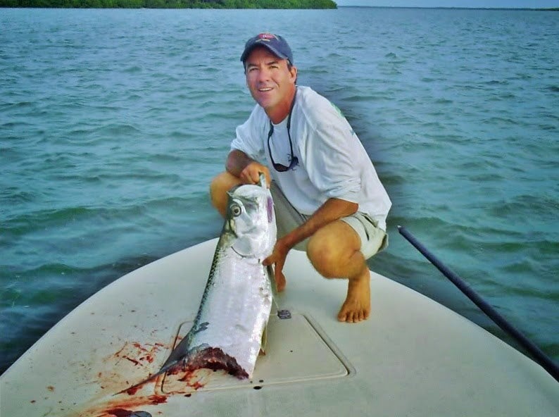A Shark’s Smile A Shark’s Smile