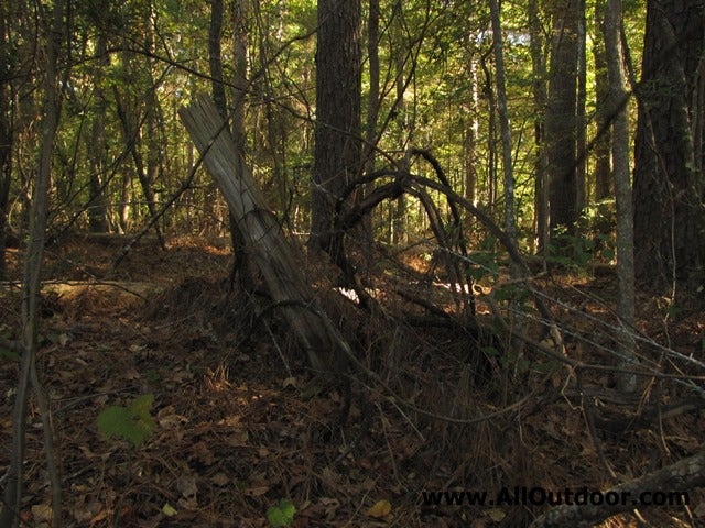 Taking Down Old Livestock Fence