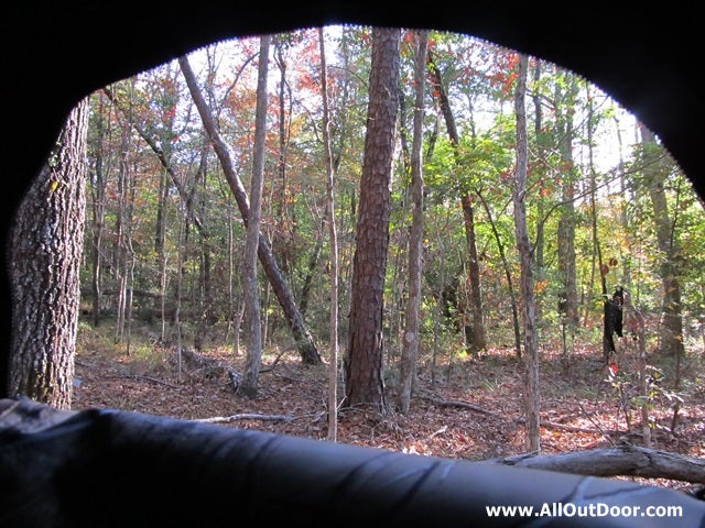 Looking through the large window of a ground blind