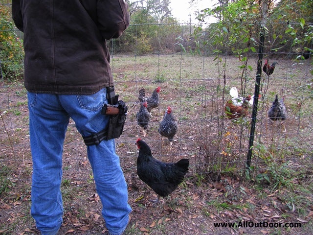 1911: My Preferred Farm Handgun