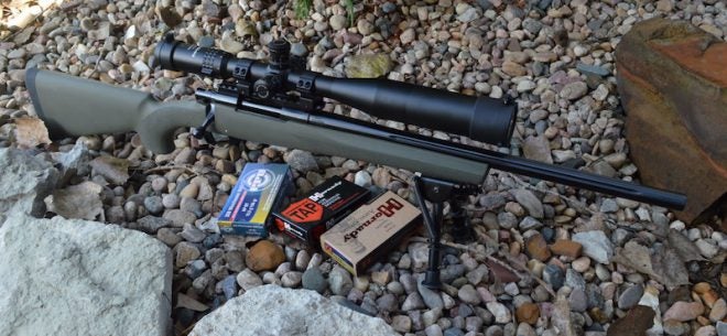 Review: Howa Targetmaster 308 Rifle