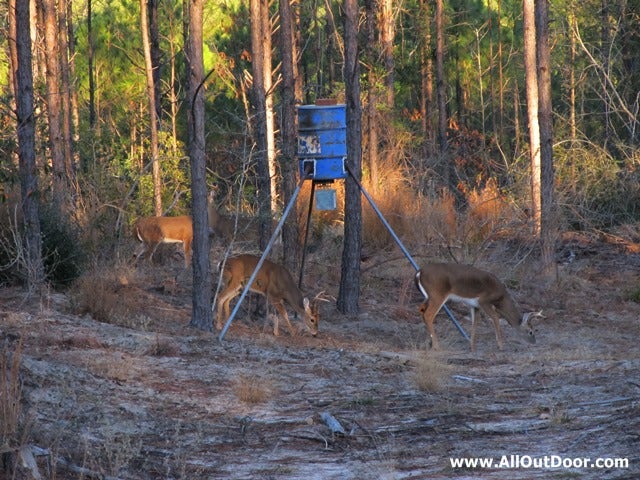 Do Not Overlook Late Season Bucks