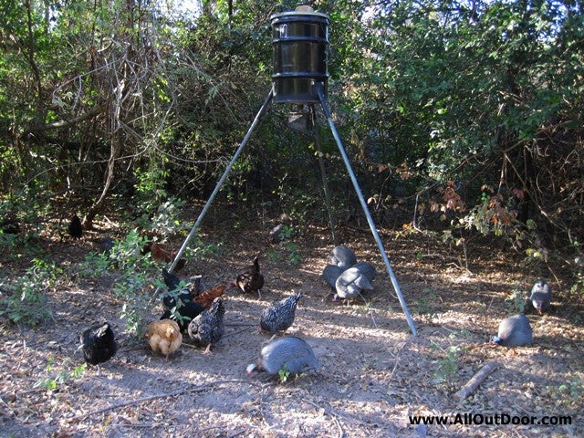 Deer Feeder for Feeding Chickens