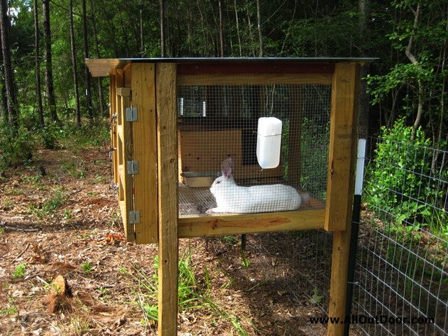 Preppers – Are Rabbits Worth the Trouble?