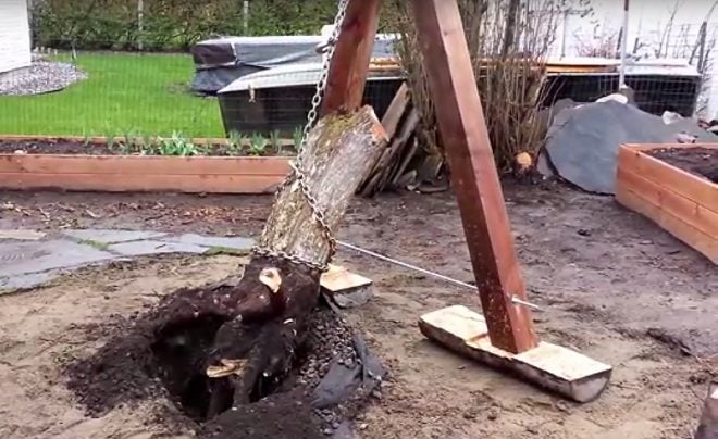 Watch: Pulling a Stump With a Truck and Leverage