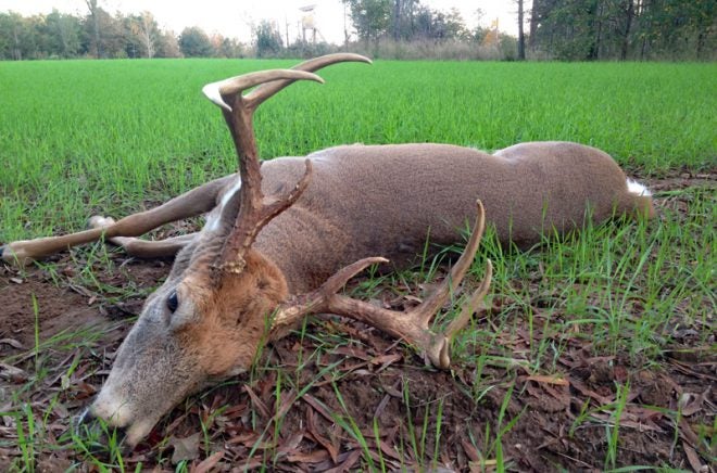 Review: Winchester Deer Season XP Bullets Designed Just for Deer