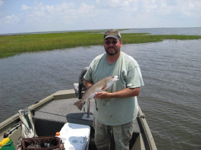 Gulf Restoration- The Aftermath of Deepwater Horizon