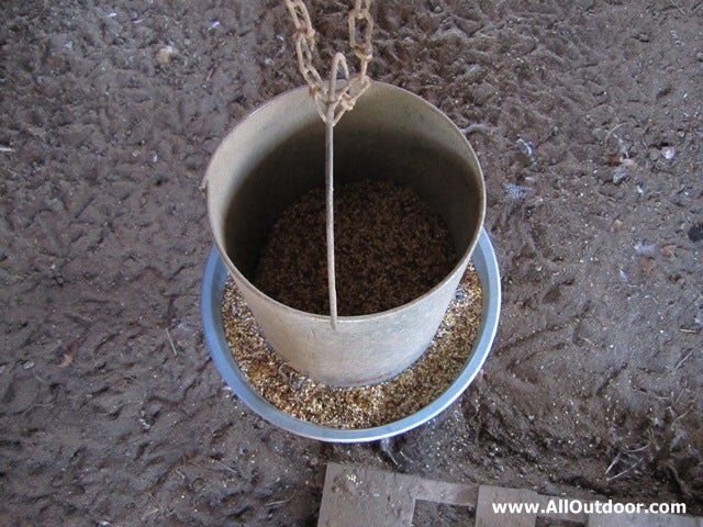 Chicken feeder with hen scratch