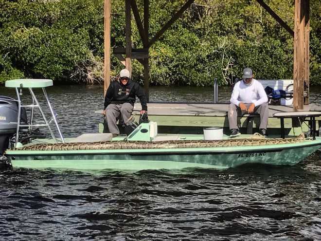 Giant 17-Foot Python Killed by Anglers in Glades from 17-Foot Boat