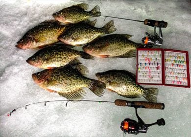 good-catches-of-crappie-are-possible-on-super-light-ice-fishing-jigs