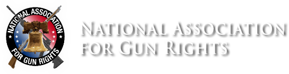 Pro-Gun Agenda Petitions Going To White House