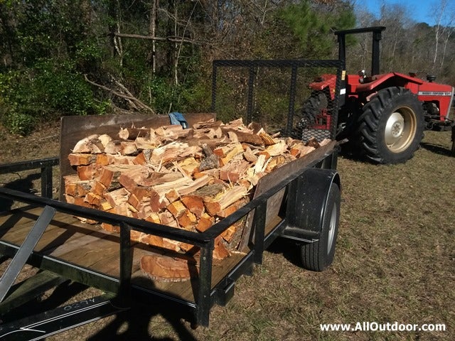 Splitting Firewood while dogs stand guard