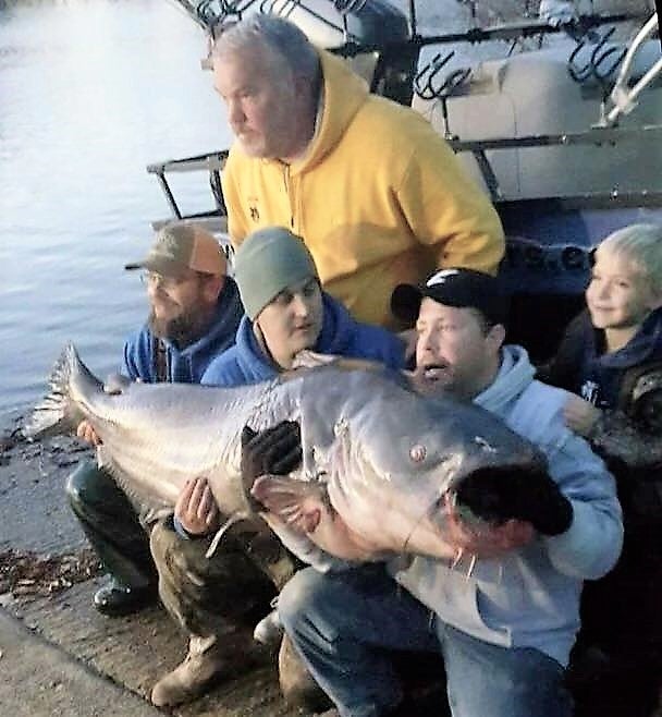 Monster Blue Catfish Caught, Released in Virginia Tournament