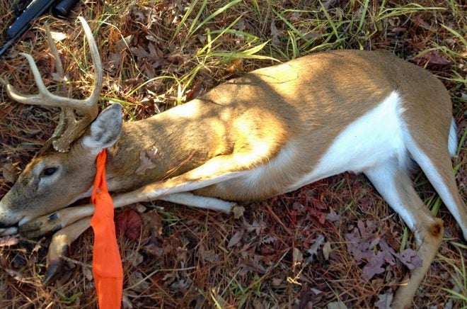Review: Deer Dragger Harness for Recovering Big Game Animals