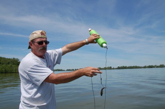 Use Your Noodle to Get Fried Catfish