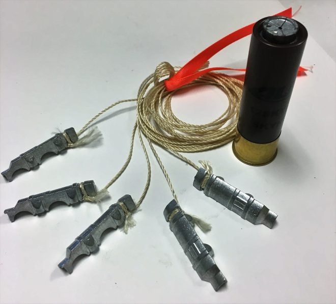 Shotgun Shells and Eagles Pressed into Anti-Drone Warfare