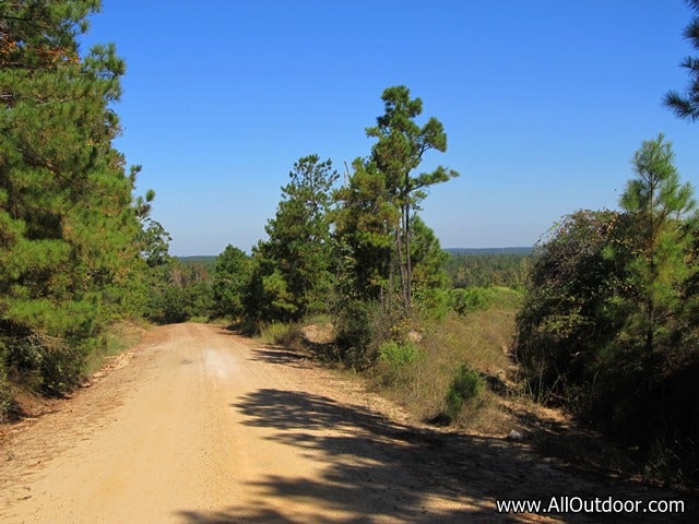 Country road