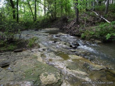 Clear running stream