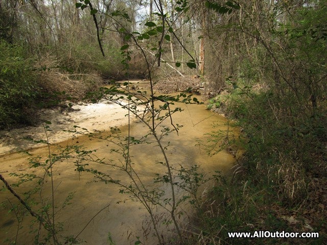 Southeast Texas Creek