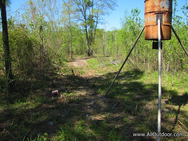 Picking the Best Fertilizer for a Wildlife Food Plot