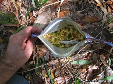 Turkey tetrazzini review