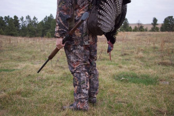Quick Field Report: Remington 870 Magnum Express Kills Turkeys