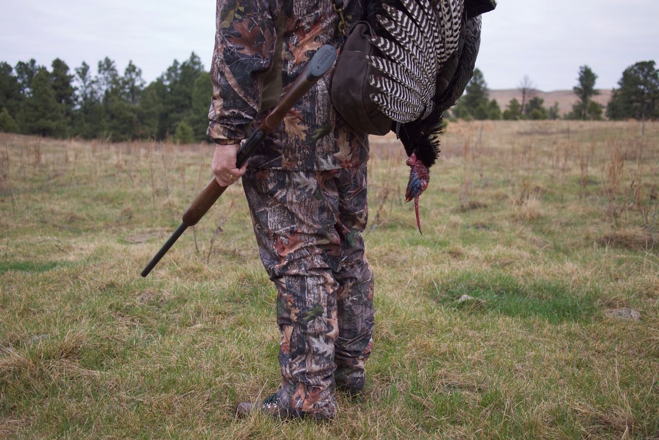 Quick Field Report: Remington 870 Magnum Express Kills Turkeys