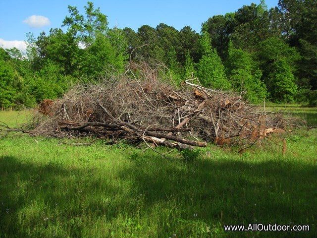 Brush pile set up for rabbit habitat