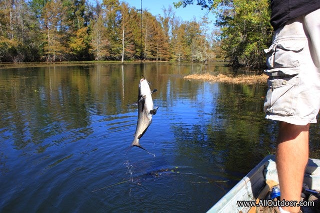 Preppers: Stockpiling Fishing Gear