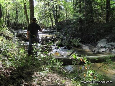 Creek with rock bottom