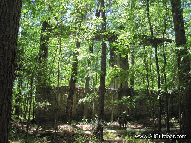 Preppers: Old Sawmill as Bug Out Location