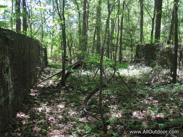 Sawmill walls 