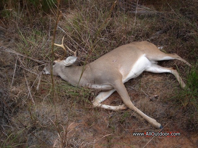 A Young Man’s First Deer