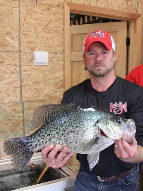 Massive Hybrid Crappie is a New Illinois Record