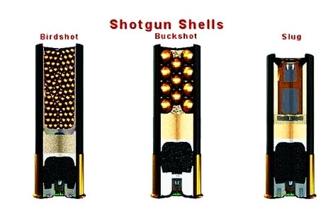 birdshot-shotgun-shells-buckshot-slug-tom-retterbush-7272426