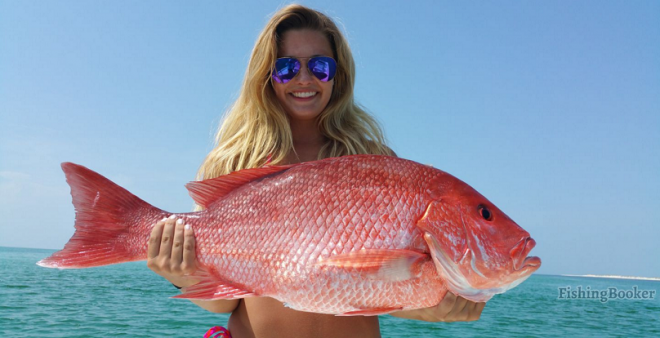 Red Snapper Angler Anger Directed at Obama, but Trump Could Solve Fishing Frustrations