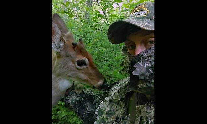 Watch: Young Deer Tries to Eat Hunter’s Ghillie Suit
